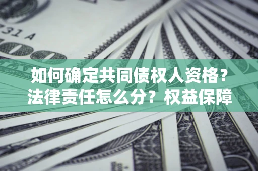 北京如何确定共同债权人资格？法律责任怎么分？权益保障技巧揭秘！