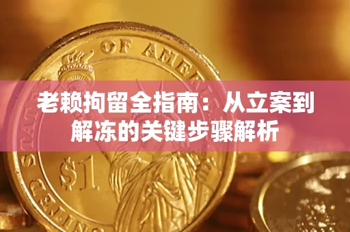 北京老赖拘留全指南：从立案到解冻的关键步骤解析