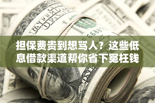 北京担保费贵到想骂人？这些低息借款渠道帮你省下冤枉钱