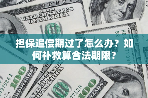 北京担保追偿期过了怎么办？如何补救算合法期限？