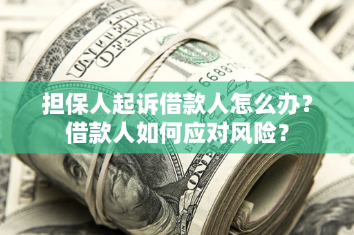 北京担保人起诉借款人怎么办？借款人如何应对风险？