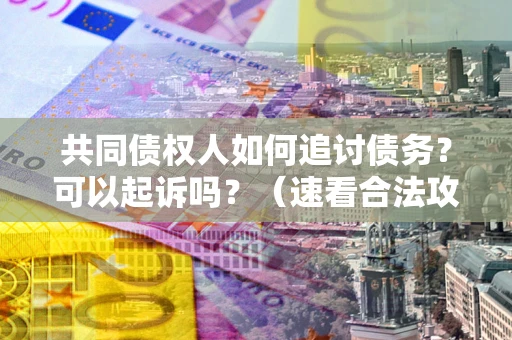 北京共同债权人如何追讨债务？可以起诉吗？（速看合法攻略）